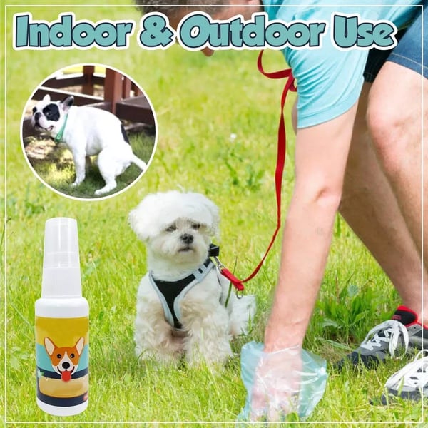 (⏰Blowout Sale）Pet Potty Here Training Spray