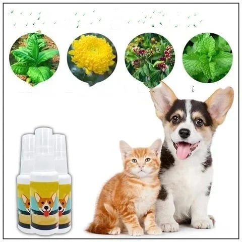 (⏰Blowout Sale）Pet Potty Here Training Spray