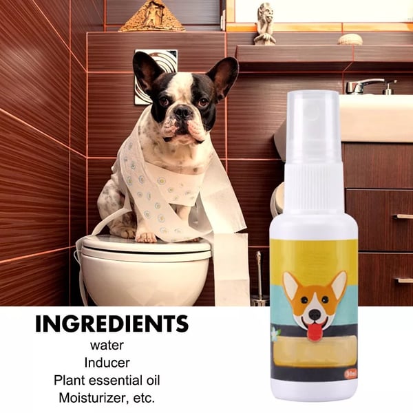 (⏰Blowout Sale）Pet Potty Here Training Spray