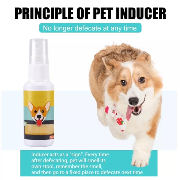 (⏰Blowout Sale）Pet Potty Here Training Spray